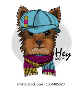 Pretty Yorkshire Terrier with blue hat and knitted scarf. Hand drawn illustration of dressed dog.  Vector illustration.
