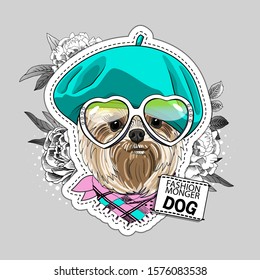 Pretty Yorkshire Terrier with green hat and glasses. Vector illustration of fashion dressed dog.