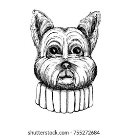 Pretty Yorkshire Terrier hand drawn vector illustration. Yorkshire Terrier puppy sketch. The head of a dog in a sweater. Funny dog