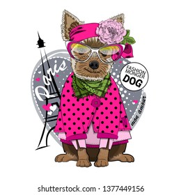 Pretty Yorkshire Terrier with pink flower,  glasses, pink blouse and Eiffel Tower. Vector hand drawn illustration of dressed dog in Paris.