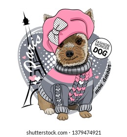 Pretty Yorkshire Terrier with pink hat, bow, knitted jersey and Eiffel Tower. Vector hand drawn illustration of dressed dog in Paris.