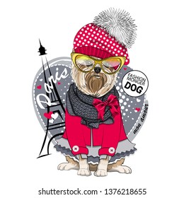 Pretty Yorkshire Terrier with red hat, yellow glasses, gray knitted scarf, red blouse and Eiffel Tower. Vector hand drawn illustration of dressed dog in Paris.