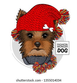 Pretty Yorkshire Terrier with red knitted hat and knitted scarf. Hand drawn illustration of dressed dog.  Vector illustration.