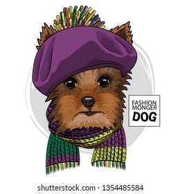 Pretty Yorkshire Terrier with violet hat and knitted scarf. Hand drawn illustration of dressed dog.  Vector illustration.