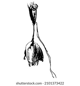 Pretty young woman in long dress hanging on pulley rope. Creative funny concept. Damsel in distress. Hand drawn linear doodle rough sketch. Black silhouette on white background.