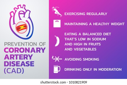 Prevention Of Coronary Artery Disease (CAD) Icon Design, Infographic Health, Medical Infographic. Vector Illustration