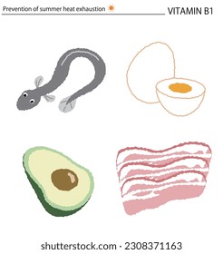 Prevention of summer fatigue, foods good to eat in summer, vector illustration