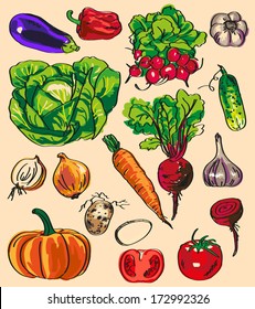 Preview variety of vegetables and root crops in the form of color on the sheet.