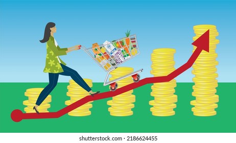 Price, expenses food gooing up. Woman with shopping cart on arrow. Dimension 16:9. Vector illustration.