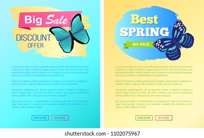 Price reduction spring discount labels web posters blue butterflies with dots, ornaments on wings and antenna, springtime vector stickers sale emblems