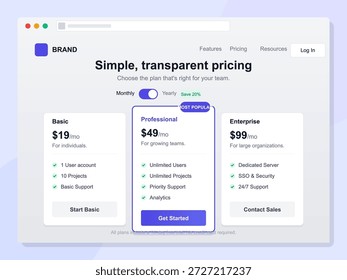 Pricing structure outlines three tiers for a digital service. Basic, professional, and enterprise plans are shown with monthly costs and features, highlighting user options.