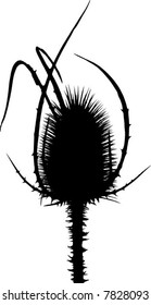 Prickle silhouette