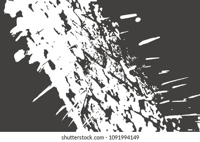 Prickly branch texture as background on emblem or overlays on photo
