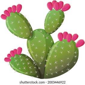 Prickly cactus in cartoon style isolated on white background illustration