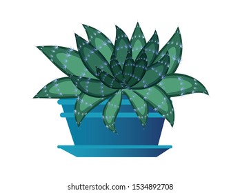  prickly cactus for home and office. In a ceramic flower pot. Isolated image . vector graphic.