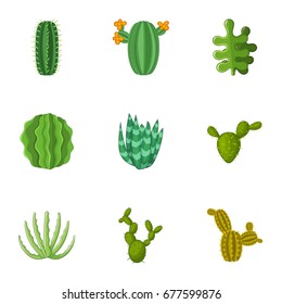 Prickly cactus icons set. Cartoon set of 9 prickly cactus vector icons for web isolated on white background