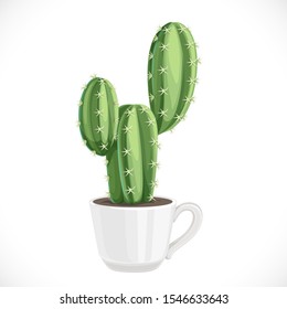 Prickly cactus planted in a white ceramic cup isolated on white background