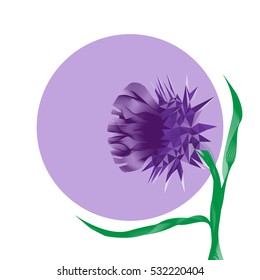 Prickly flower