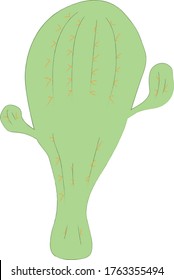 Prickly green cactus with branches in hand drawn style