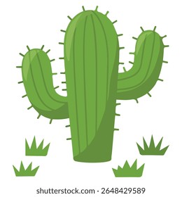 Prickly green cactus for Cinco de Mayo isolated vector illustration on white background