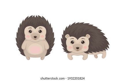 Prickly Hedgehog as Forest Animal in Different Poses Vector Set