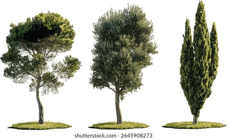 Junípero espinhoso, Juniperus oxycedrus, Cade cedar, árvores de rua em luz do dia isoladas, vegetação urbana, plantas tolerantes à seca, coníferas ornamentais, ilustração vetorial.