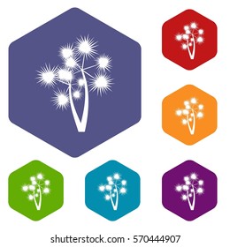Prickly palm icons set rhombus in different colors isolated on white background