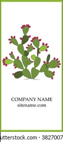 Prickly pear business card design.
