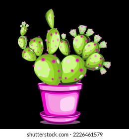 Prickly pear cactus in ceramic pot in flat technique vector illustration 