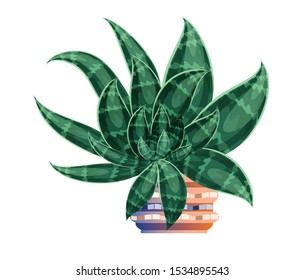 Prickly pear cactus for home and office. In a ceramic flower pot with mosaic. Isolated image vector graphic.