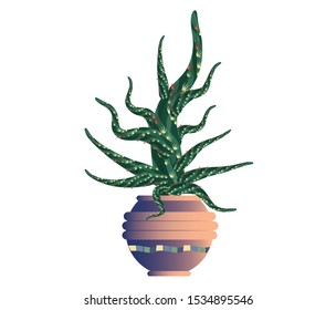 Prickly pear cactus for home and office. In a ceramic flower pot with mosaic. Isolated image vector graphic.