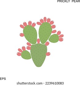 Prickly pear cactus. Isolated prickly pear on white background