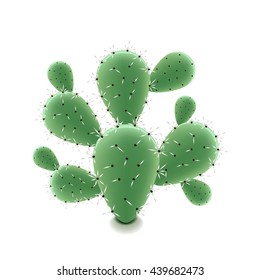 Prickly pear cactus isolated on white photo-realistic vector illustration