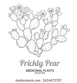 Prickly Pear Cactus Outline Illustration