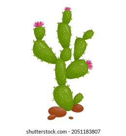 Prickly Birn Cactus Pink Flower Plant Sukkulent Family Cartoon Vektorgrafik