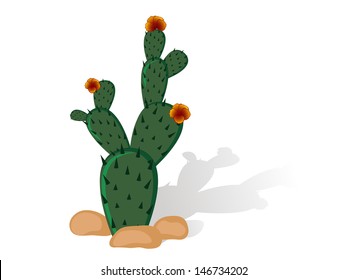 Prickly Pear Cactus Red Blooms Stock Vector Royalty Free