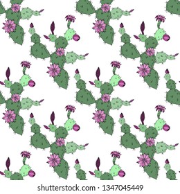 Prickly pear and cactus. Seamless pattern. Vector illustration.