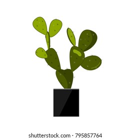 Prickly pear cactus in stylish black pot. Cactus flat vector illustration on white. Home potted flower. Opuntia icon, traditional Mexican plant. Vector