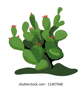 Prickly Pear Cactus vector is hand drawn original artwork.