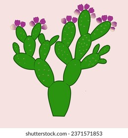 Prickly pear on Jeju island.thorny tree.or cactus.Colored vector illustration. 