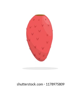 prickly pear vector illustration