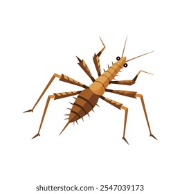 Prickly stick insect animal isolated flat vector illustration on white background