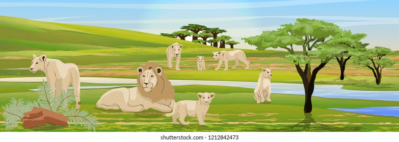 Pride of a lion, three lionesses and their cubs in the African savannah. River, baobabs and acacias, bushes of tropical plants. Wildlife of Africa. Realistic Vector Landscape