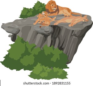 pride of lions on the rock