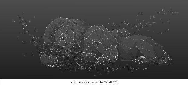 Pride star Family of dozing Lion and Lioness in the Sky.