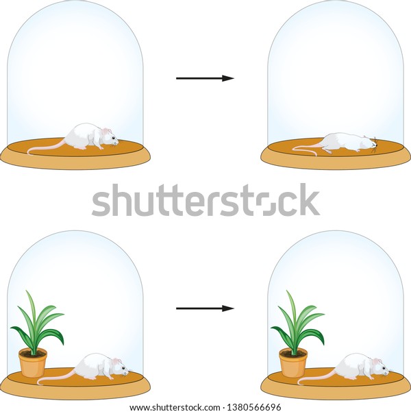 Priestley Experiment Vector Stock Vector (royalty Free) 1380566696 