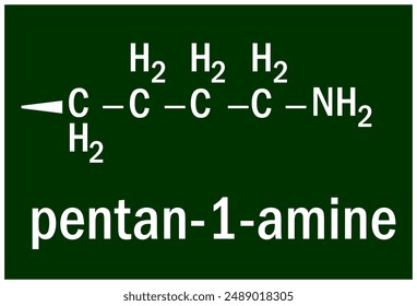 A primary aliphatic amine that is n-pentane in which a hydrogen of one of the methyl groups is replaced by an amino group. 