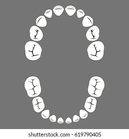 primary deciduous baby Teeth of a child, the chewing surface of vector set tooth