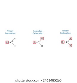 Primary, Secondary and Tertiary carbocation molecule skeletal structure diagram.organic compound molecule scientific illustration on white background.