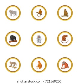 Primate icons set. Cartoon style set of 9 primate vector icons for web design